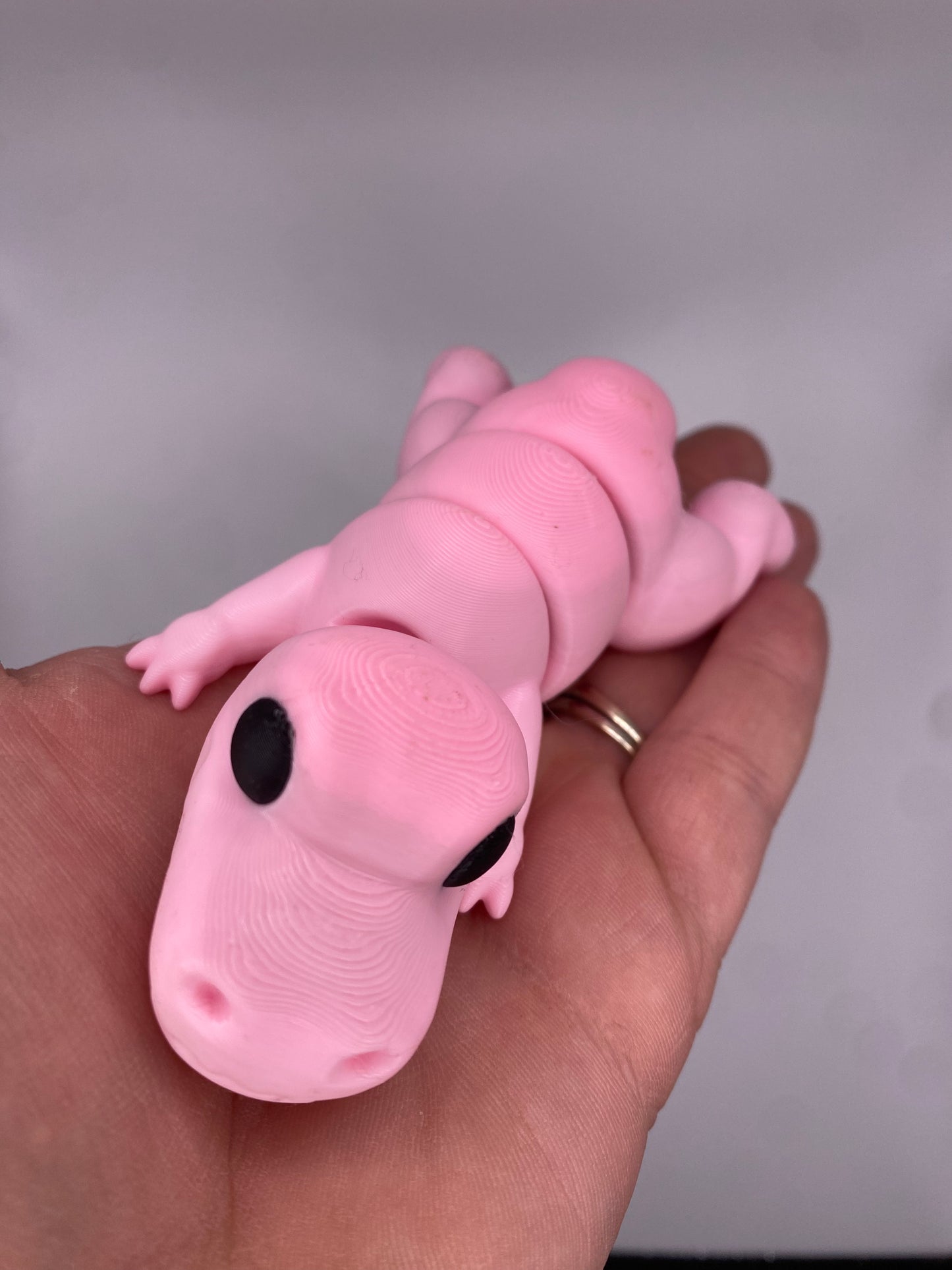 3D Dino Fidget Toy (Custom Color)