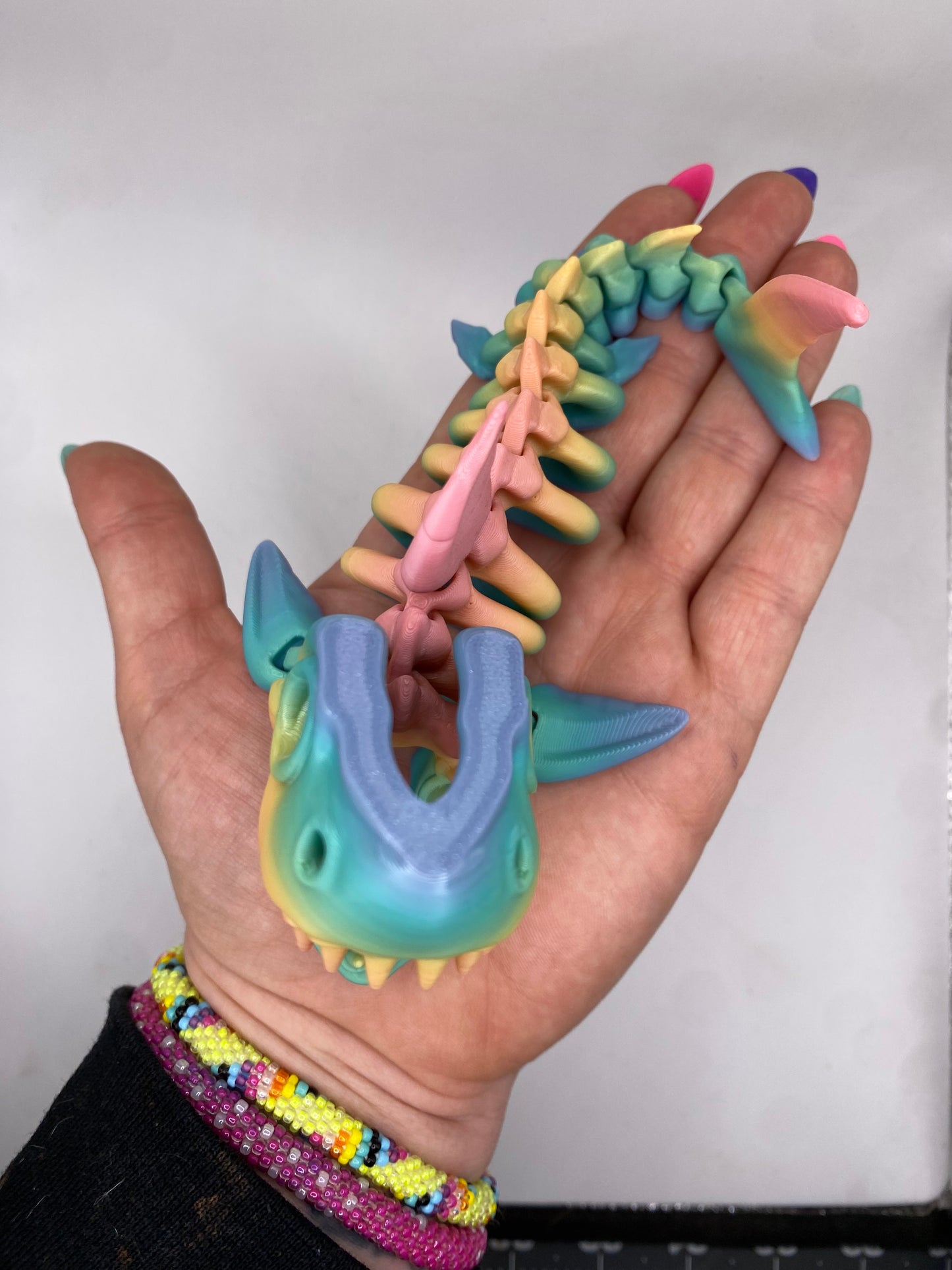 3D Shark Skeleton Fidget- Small (RTS)
