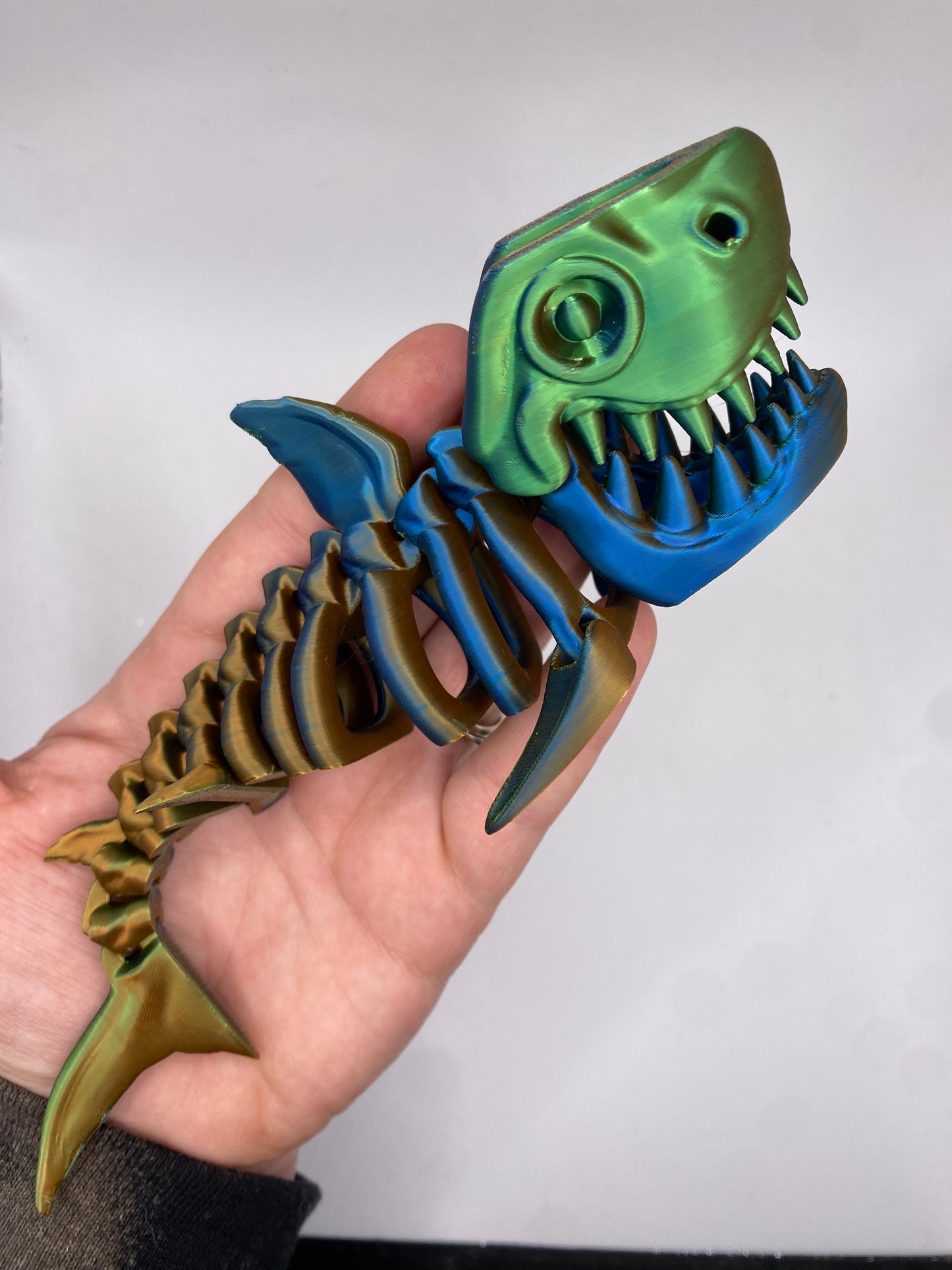 3D Shark Skeleton (Custom Color)