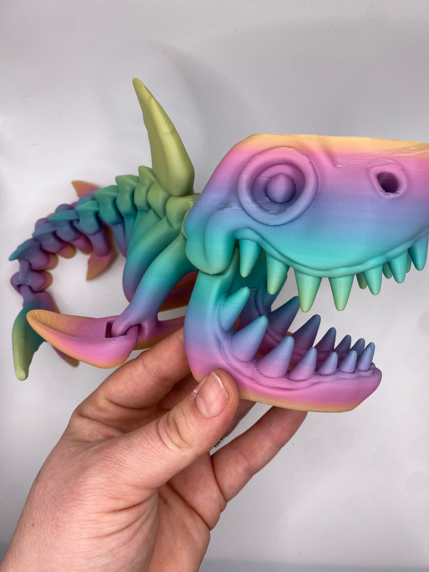 3D Shark Skeleton (Custom Color)