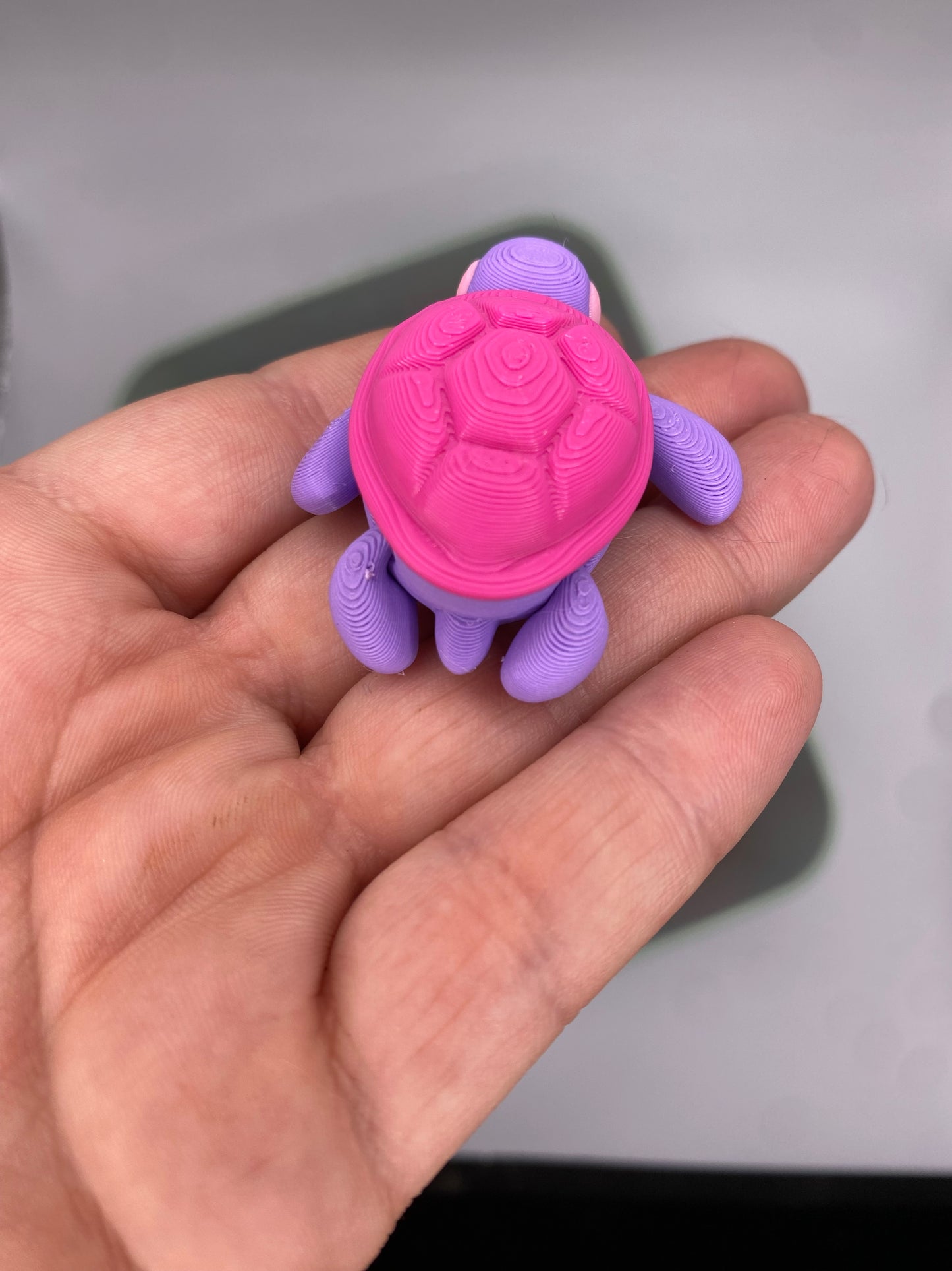 3D Turtle Fidget Toy (Custom Color)